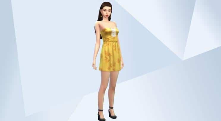    создано: cloneitsims