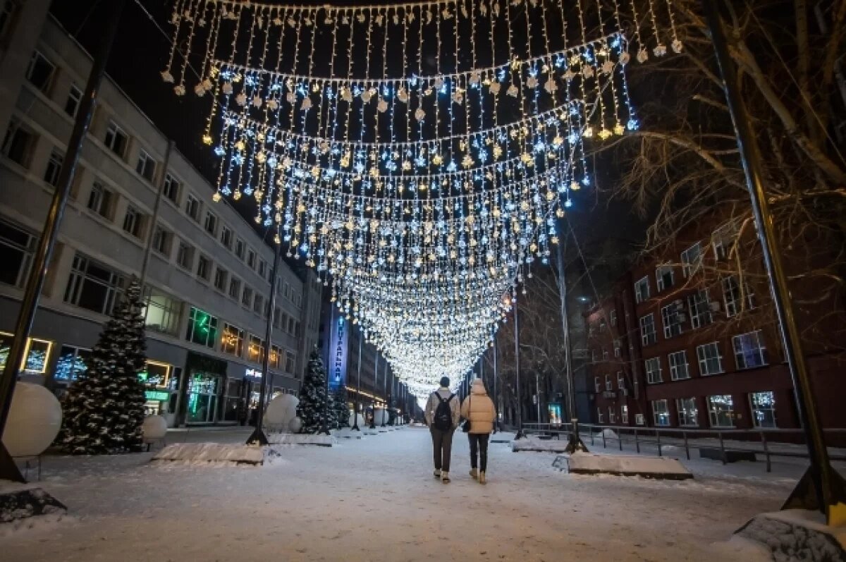    В Новосибирске наняли охрану на улицу Ленина за 2,2 млн рублей