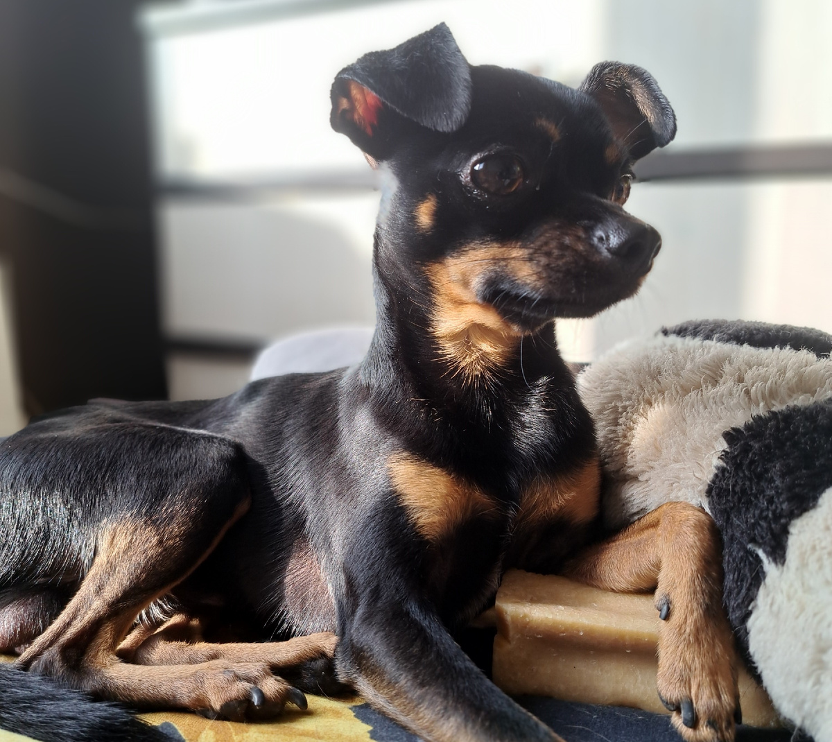 фото из личного архива