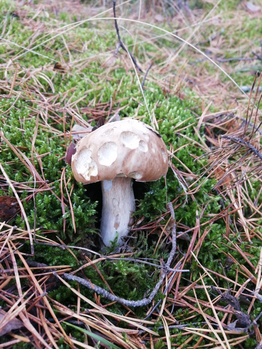 Фото Сергея П.