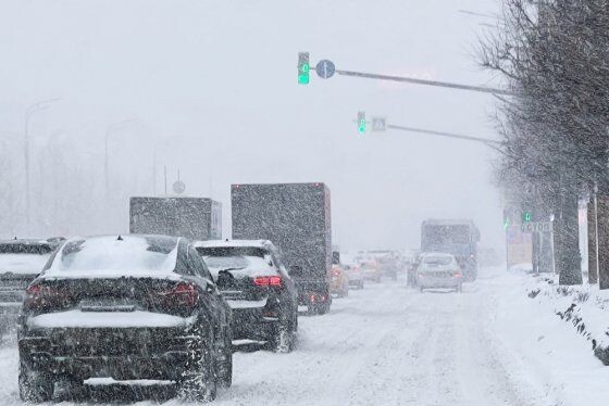     Снегопад. Источник: rg.ru Автор фото: Наталья Селиверстова/РИА Новости