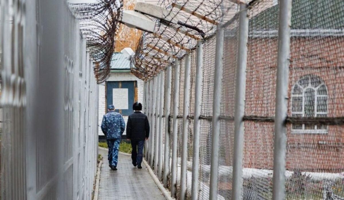     Колония. Источник: mkchita.ru Автор фото: Степан Тихомиров