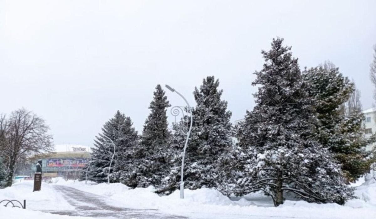     Снег. Источник: samadm.ru Автор фото: Татьяна Петунина