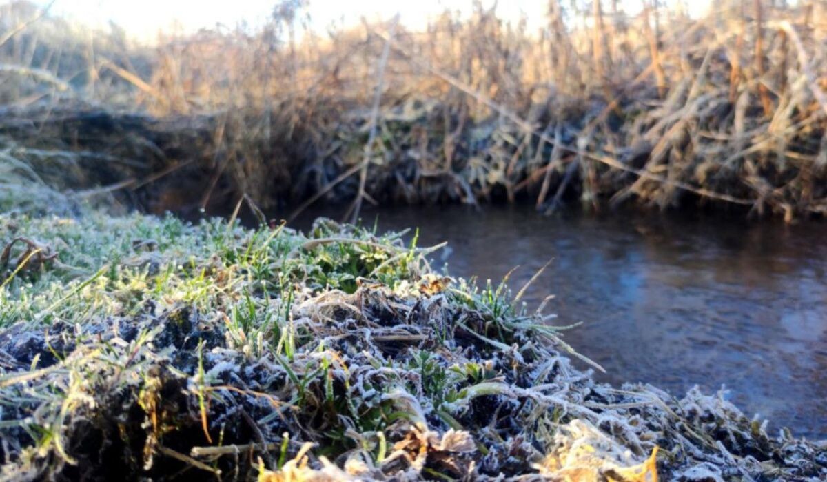     Иней на траве. Источник: samadm.ru Автор фото: Екатерина Белянина