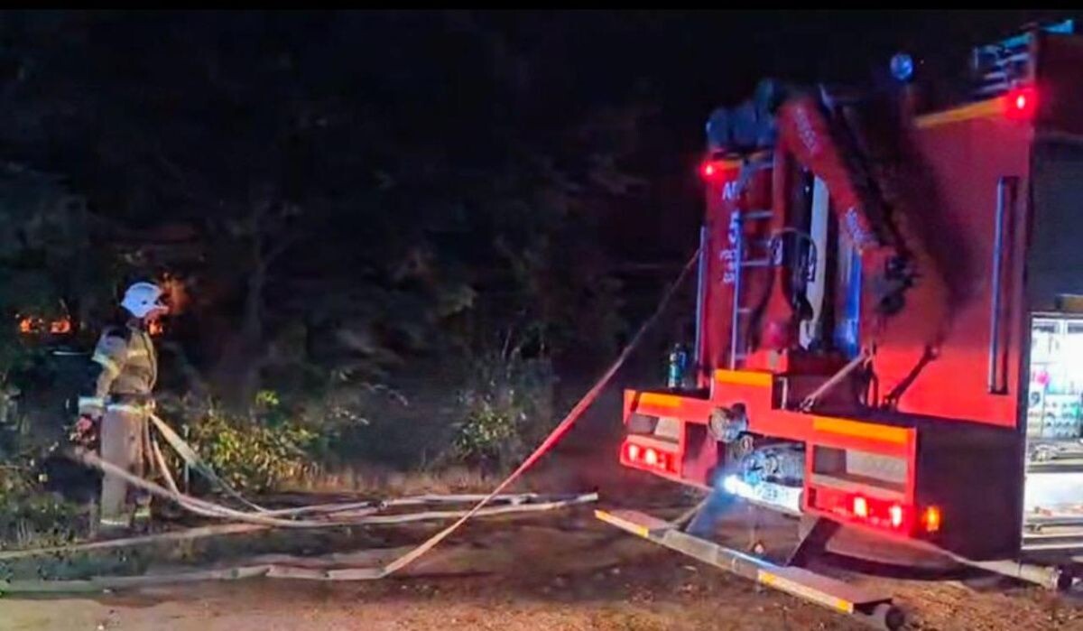     Пожарные тушат огонь. Источник: donland.ru Автор фото: Правительства Ростовской области