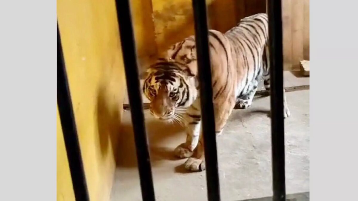     Источник: пресс-служба Росприроднадзора