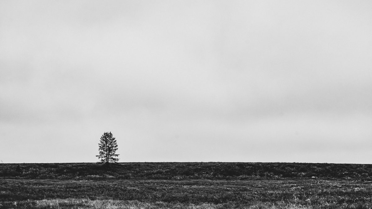 фото Андрея Павлычева