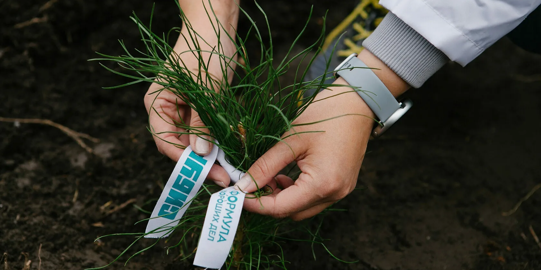 Экологические инициативы: как малые шаги могут изменить мир