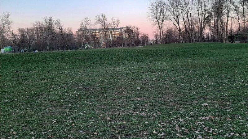     Зеленый ноябрь. altapress.ru