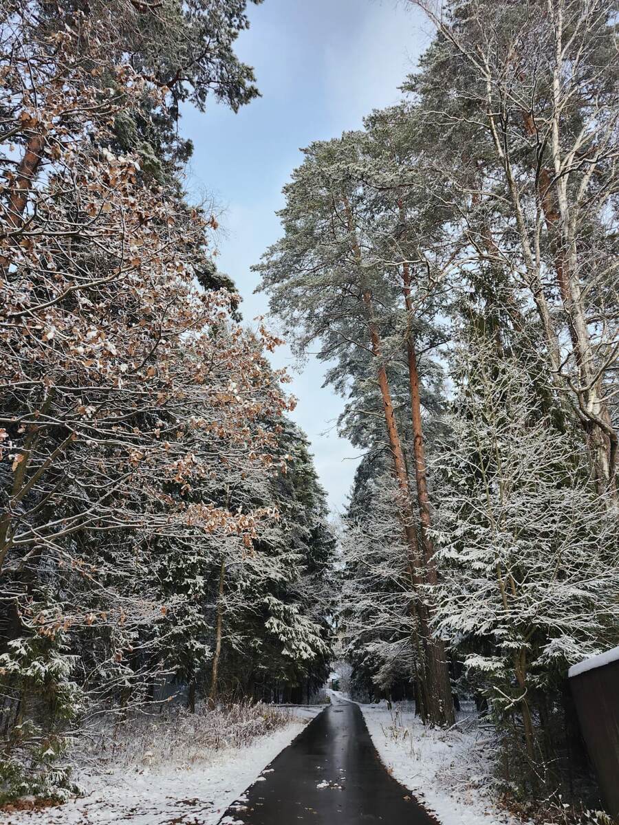 Дорога от нашей дачи к даче дочери 