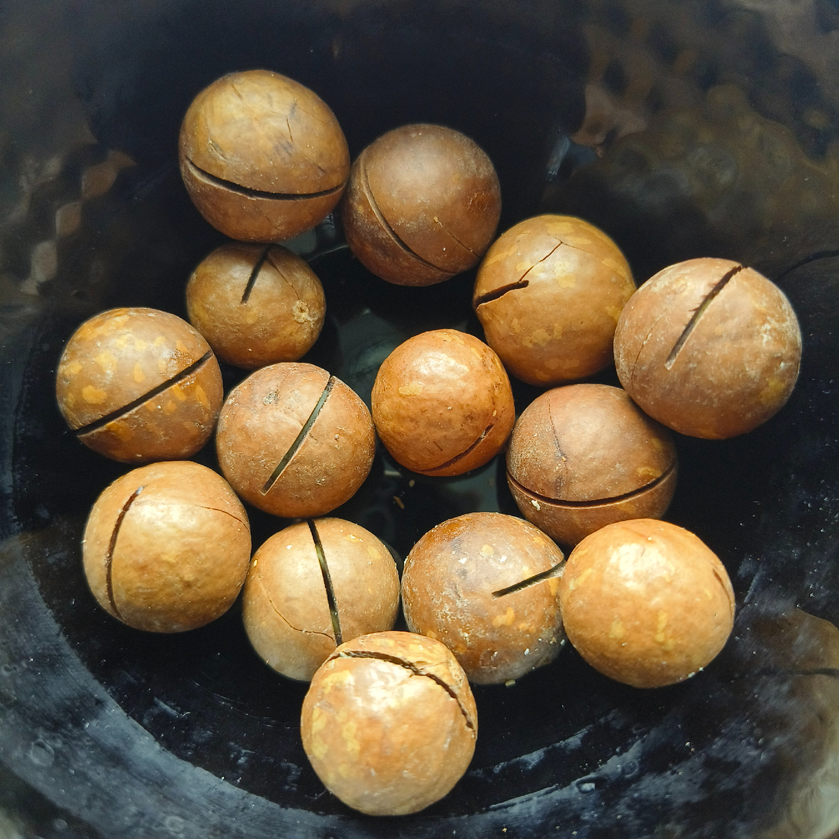 Фото автора. Орех макадемия какие на вкус?