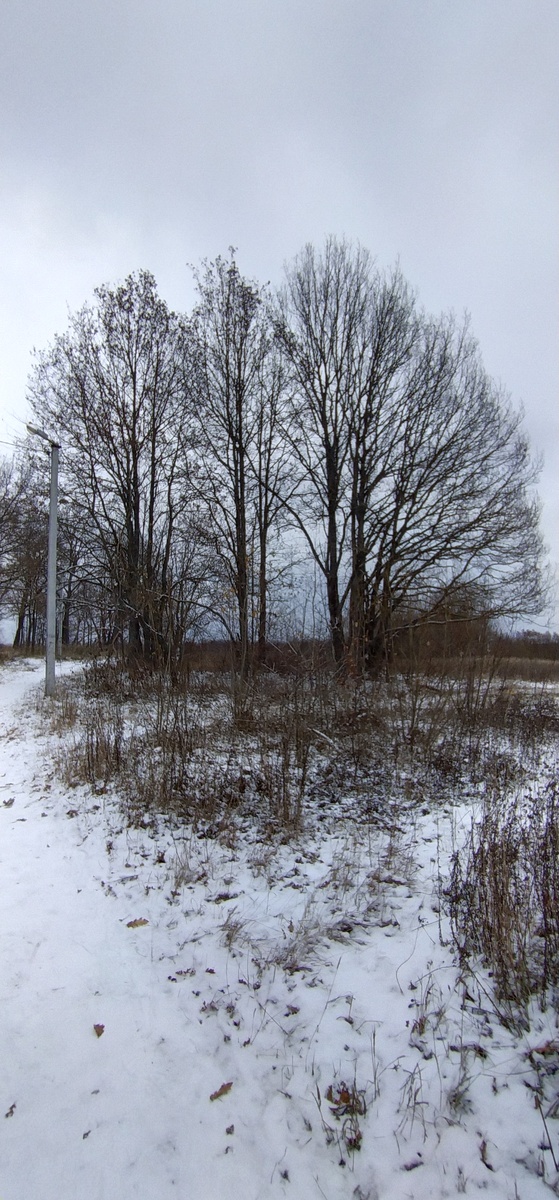 Личное фото