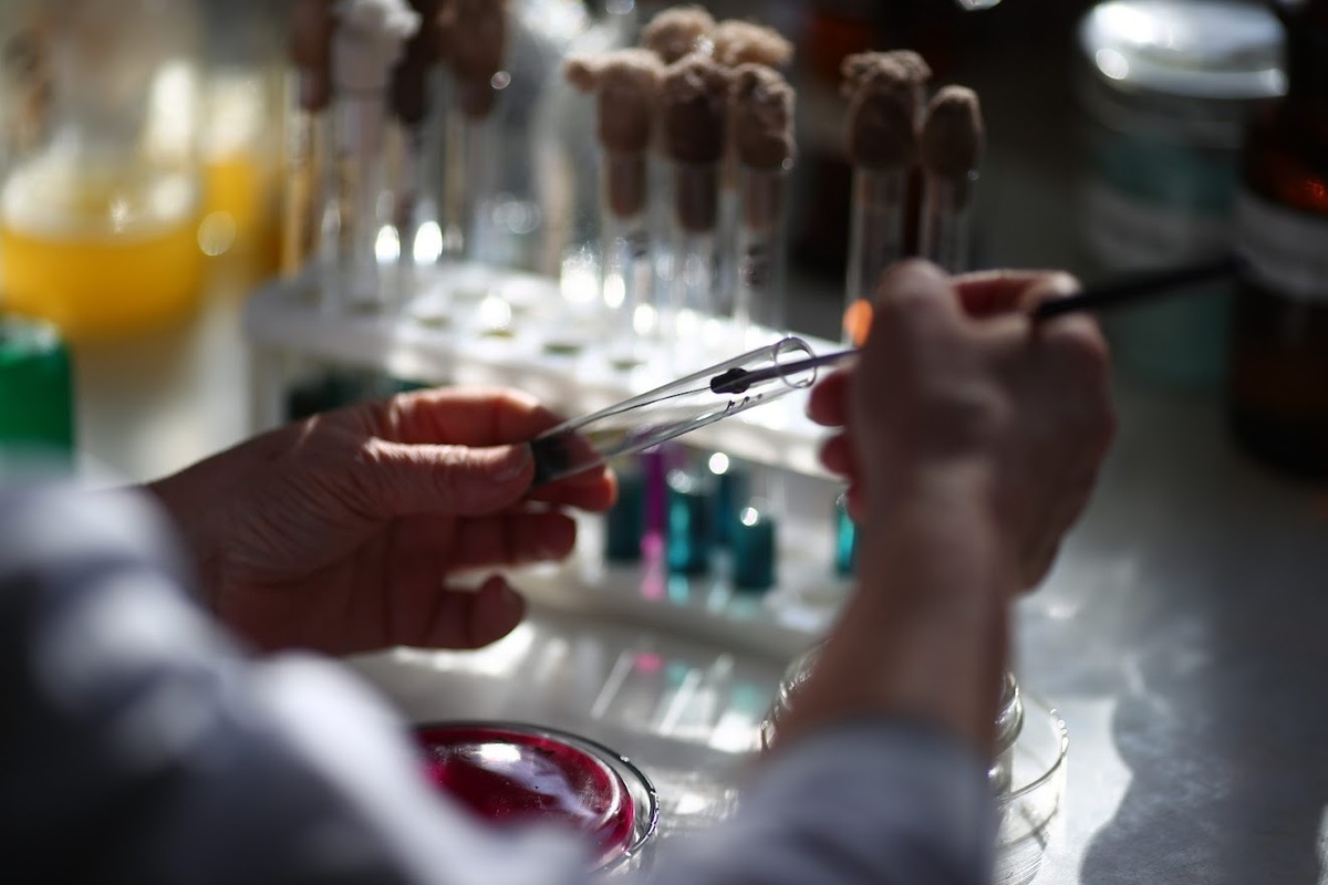 © Фото: ИД «Волгоградская правда» / архив