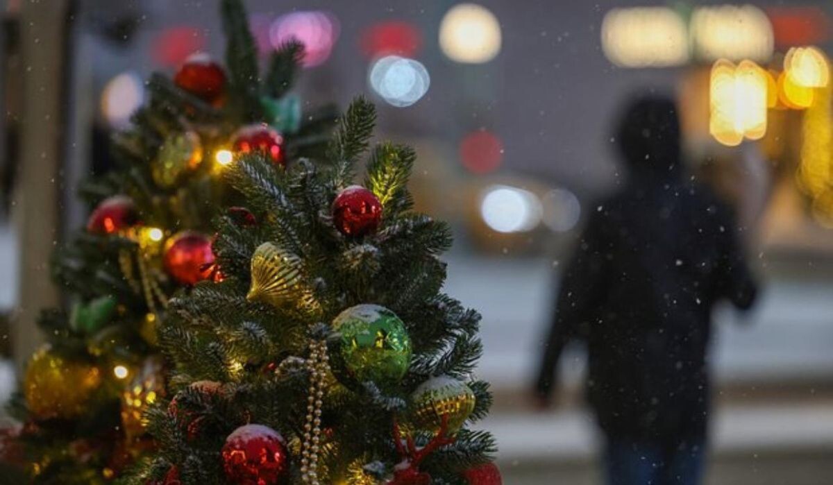     Человек и ёлка. Источник: lenta.ru Автор фото: Екатерина Якель