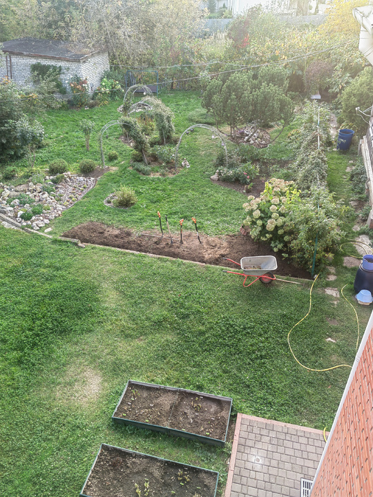 Так выглядил цветник после после первого этапа работ.Все цветы выкопаны, частично уже истреблена сныть.