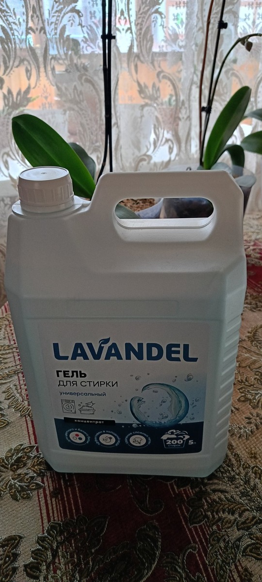 фото из личного архива