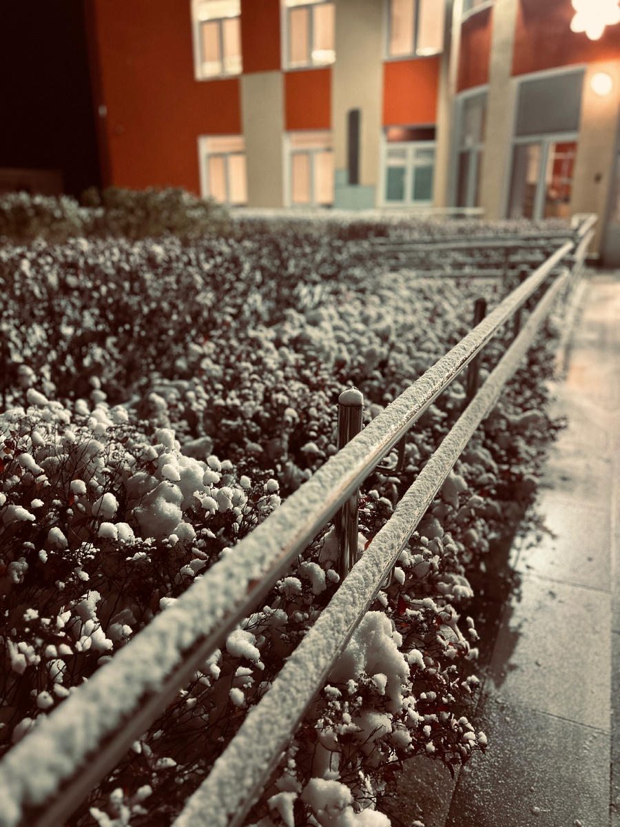 Фотография автора канала.