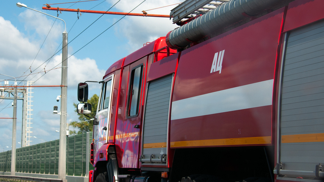    © Svetlana Vozmilova/Globallookpress