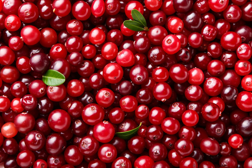 Фото: Shutterstoсk/FOTODOM