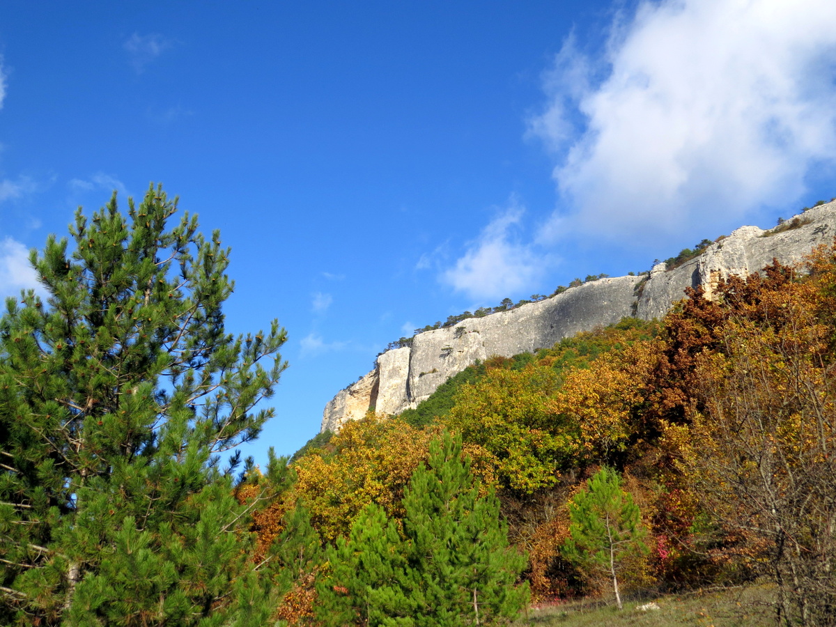 Листайте галерею