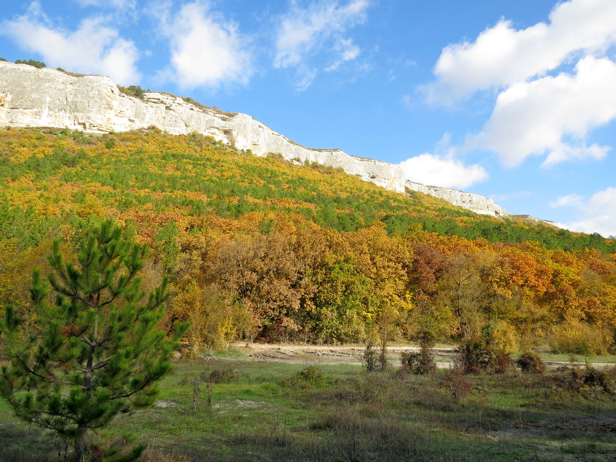 Листайте галерею