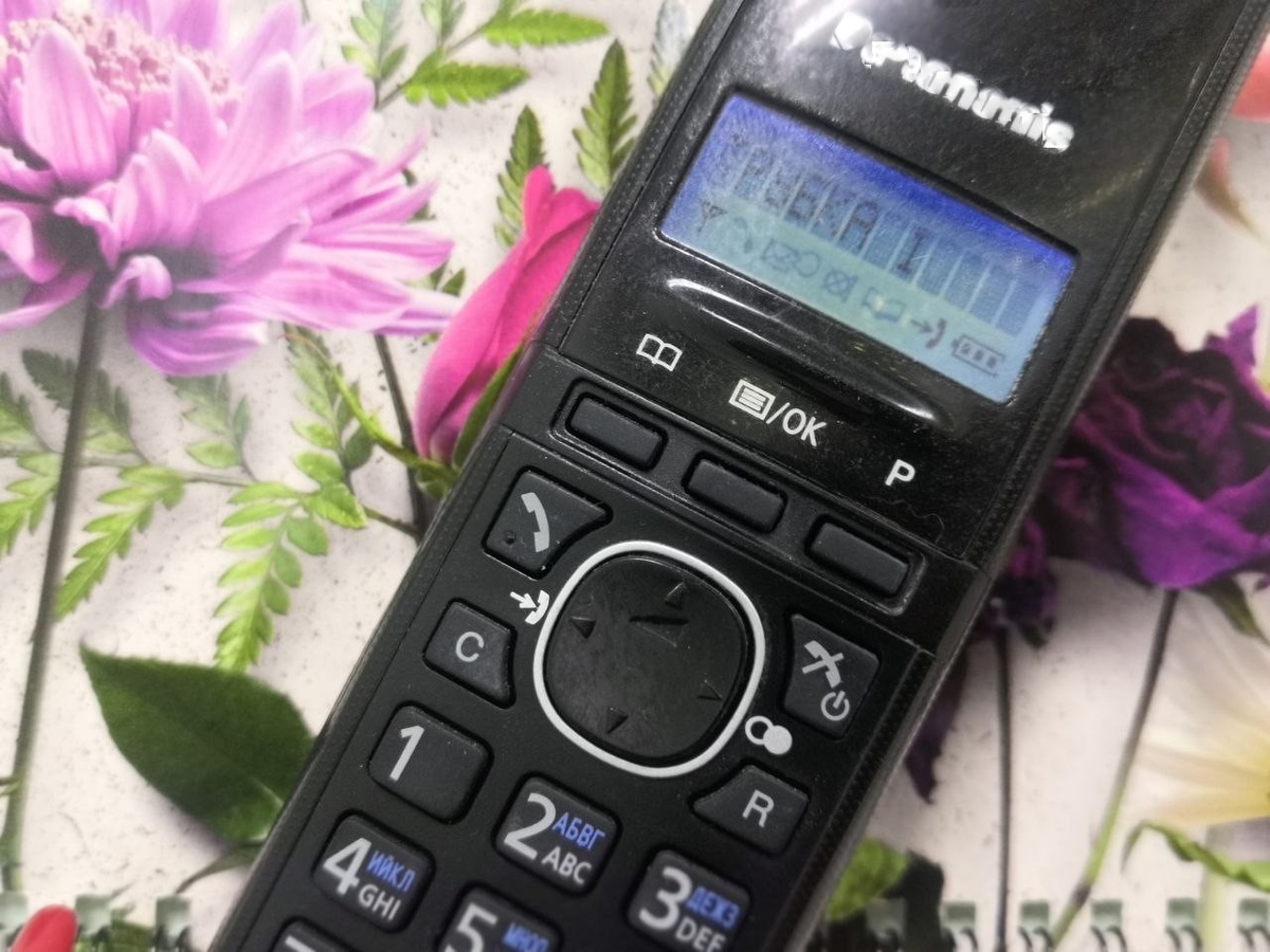 Фото: "Симоронские записки"