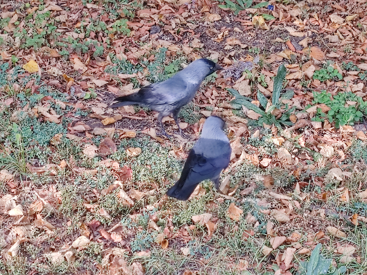 Фото автора канала. 