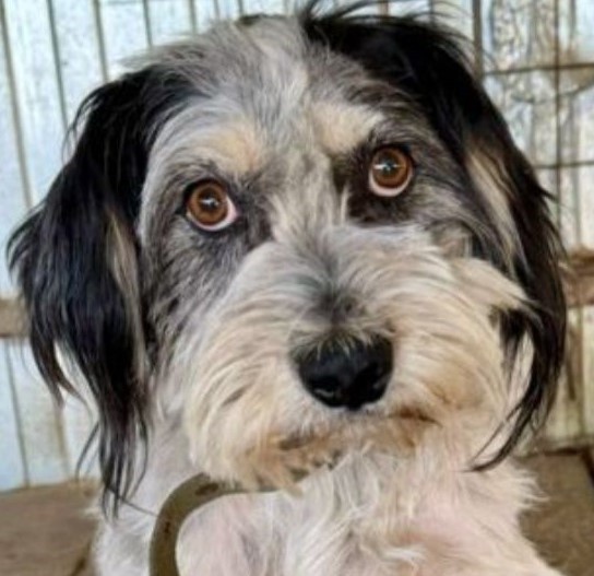 Взгляд годовалого Ванюшки больше напоминает взгляд старичка