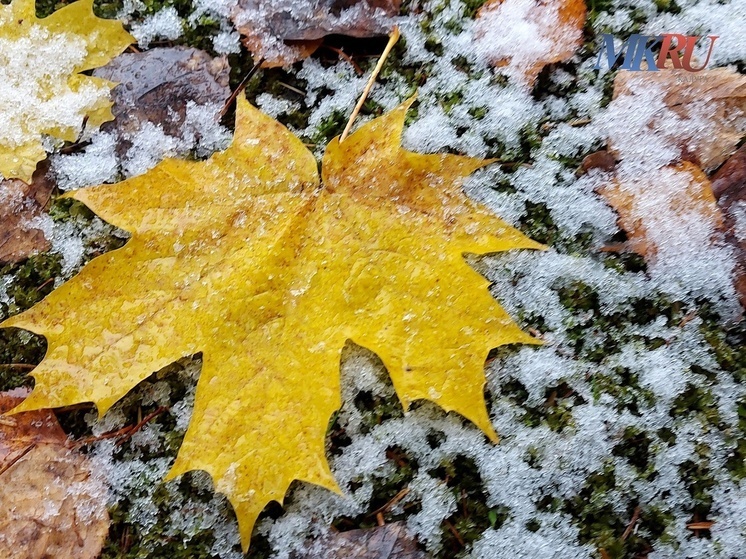     Фото: "МК в Калуге"