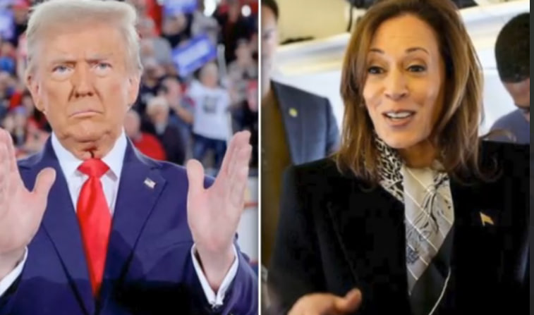 Скрин Рутуб 