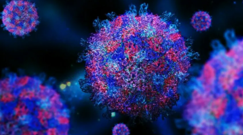 Вирус Коксаки: Что Это Такое?