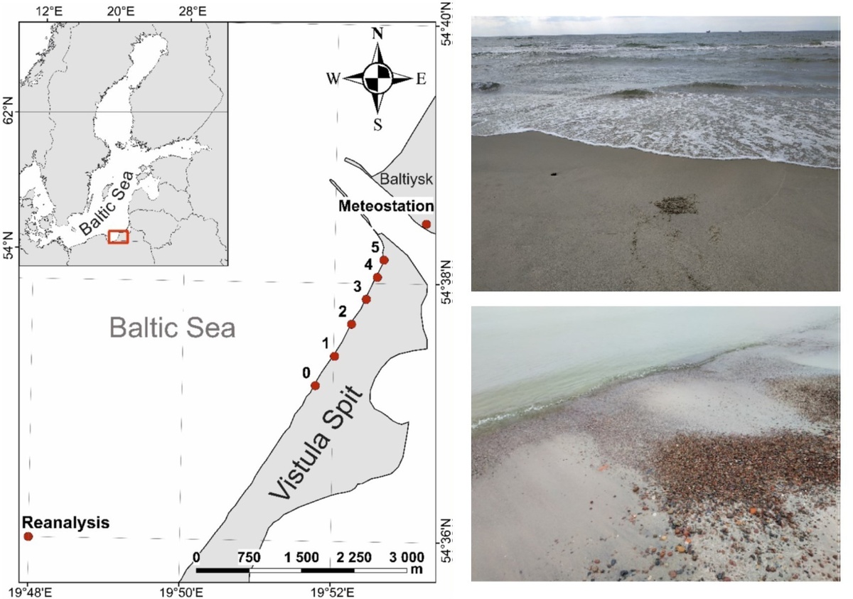     Места отбора образцов песка на Вислинской косе / Chubarenko et al. / Marine Pollution Bulletin, 2024