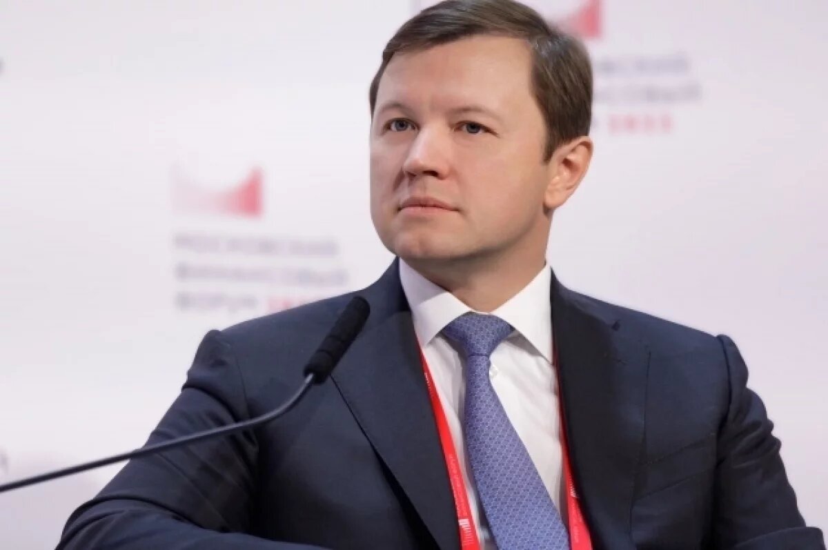    Ефимов: город предоставил инвестору участок во Внукове для реализации МаИП