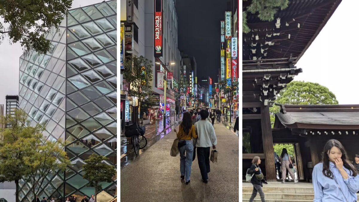     Источник: t.me/shatalovspeaks