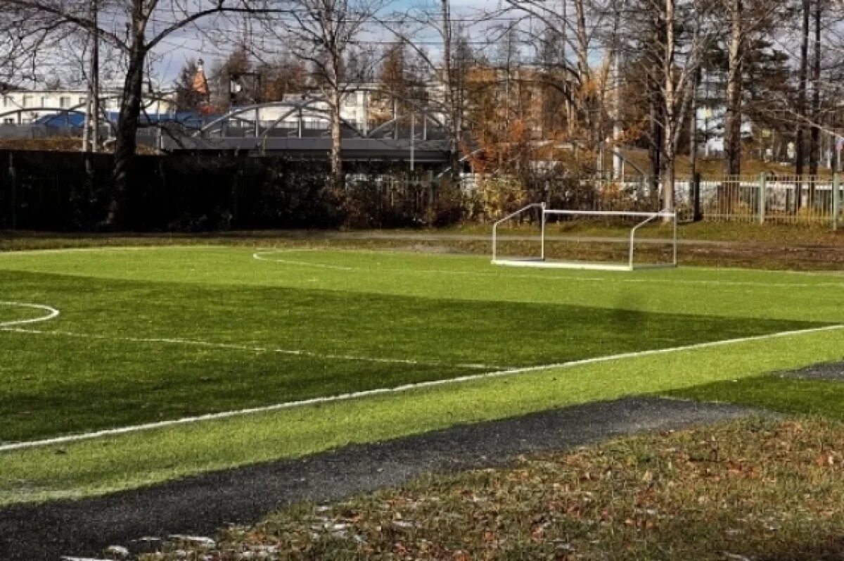    В Елизовском районе Камчатки появились новые футбольные поля