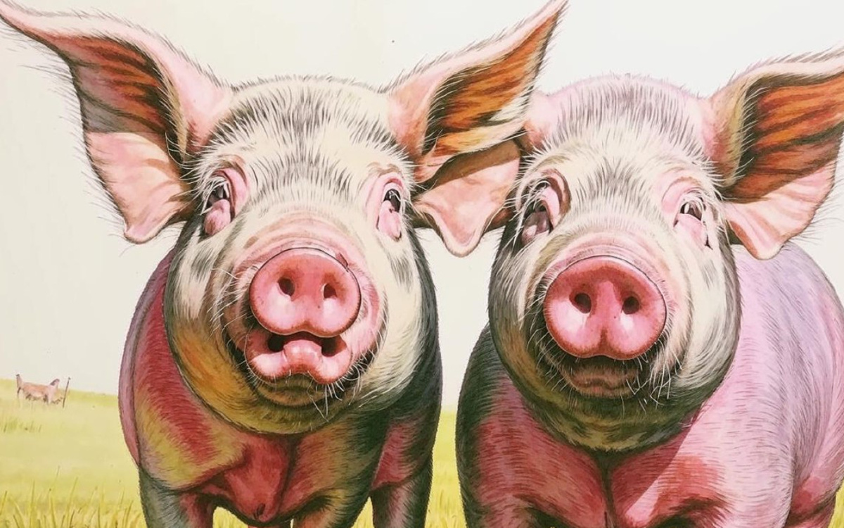    Активы курского «Фатежского» с начальной ценой в 3,6 млрд могут продать за 200 млн рублей Иллюстрация: нейросеть «Кандинский»