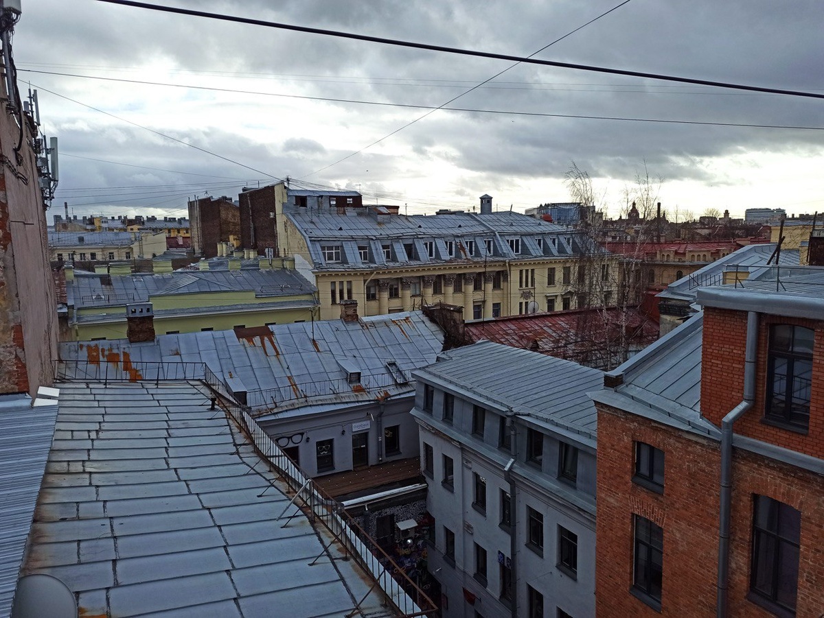 Типичный вид из питерской квартиры 