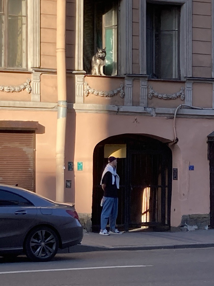 Питерский вайб 