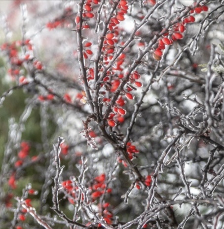Фото с открытых источников 