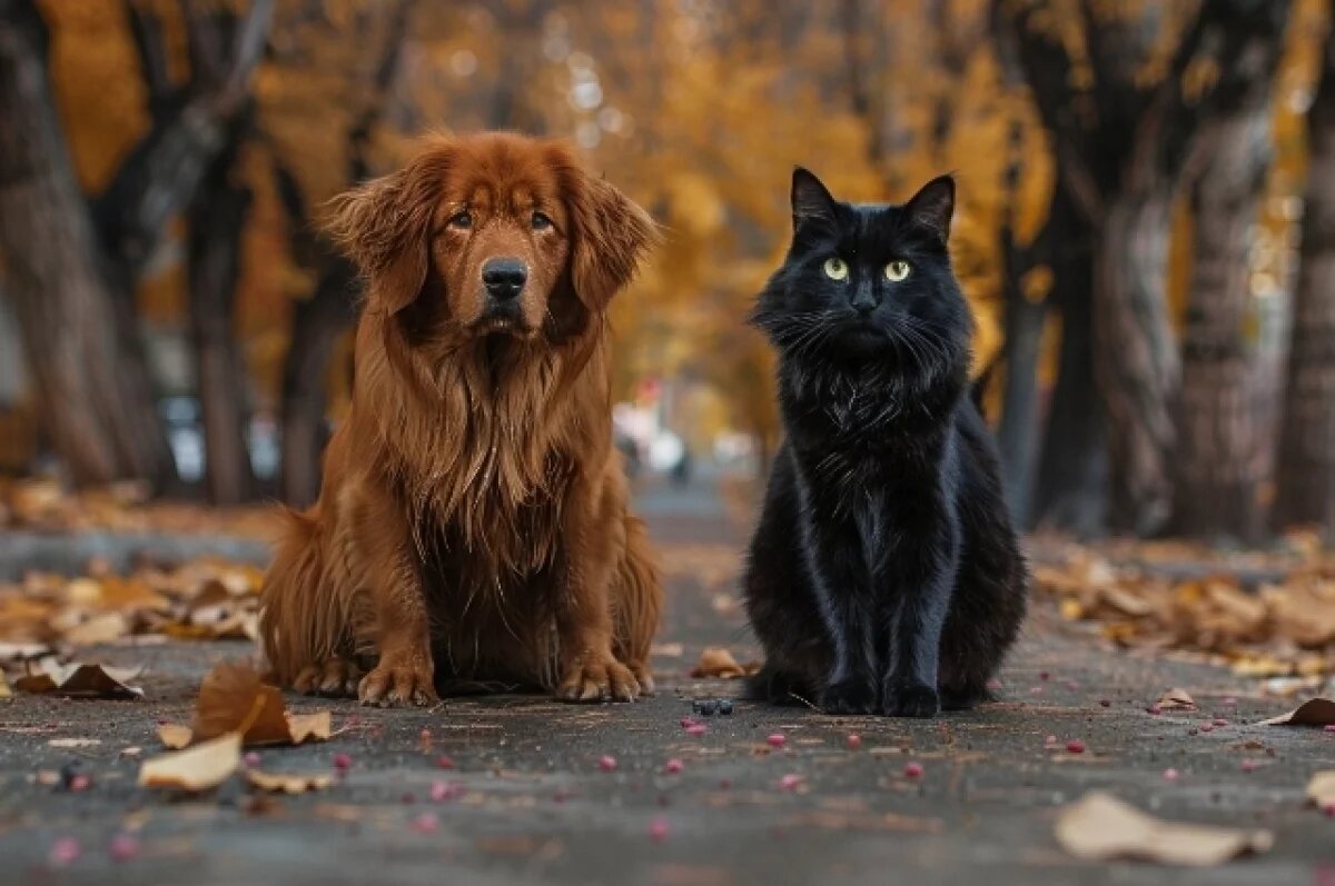    До +11 градусов прогреется воздух в Псковской области 6 ноября