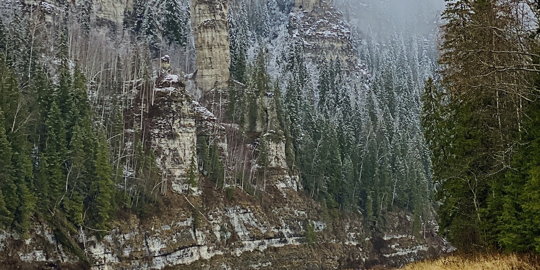 ДИКАЯ УСЬВА В ТАЕЖНОЙ ГЛУХОМАНИ УРАЛА