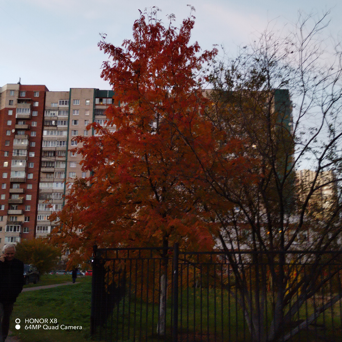 ОСЕНЬ-2024, из личных фото автора Лидии Шатиловой