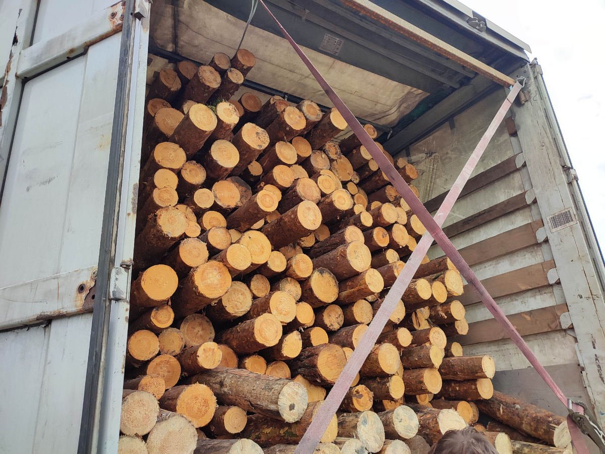 Фото: пресс-служба Челябинской таможни