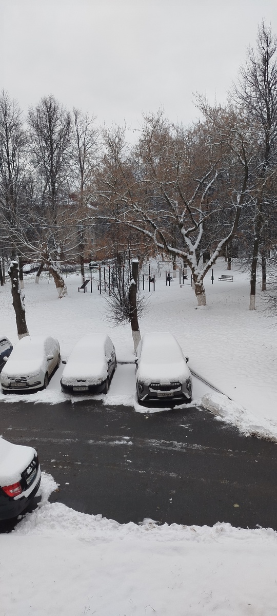 За окном зимний пейзаж