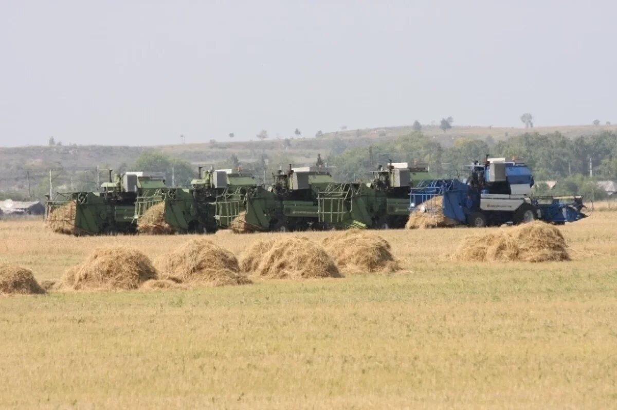    Господдержка аграриев выросла.
