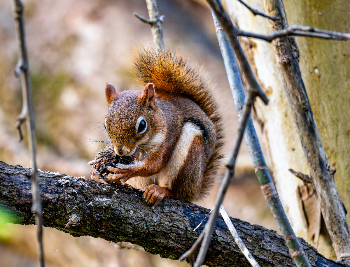 Картинка с бесплатного фотостока https://unsplash.com, автор Ryan Grewell