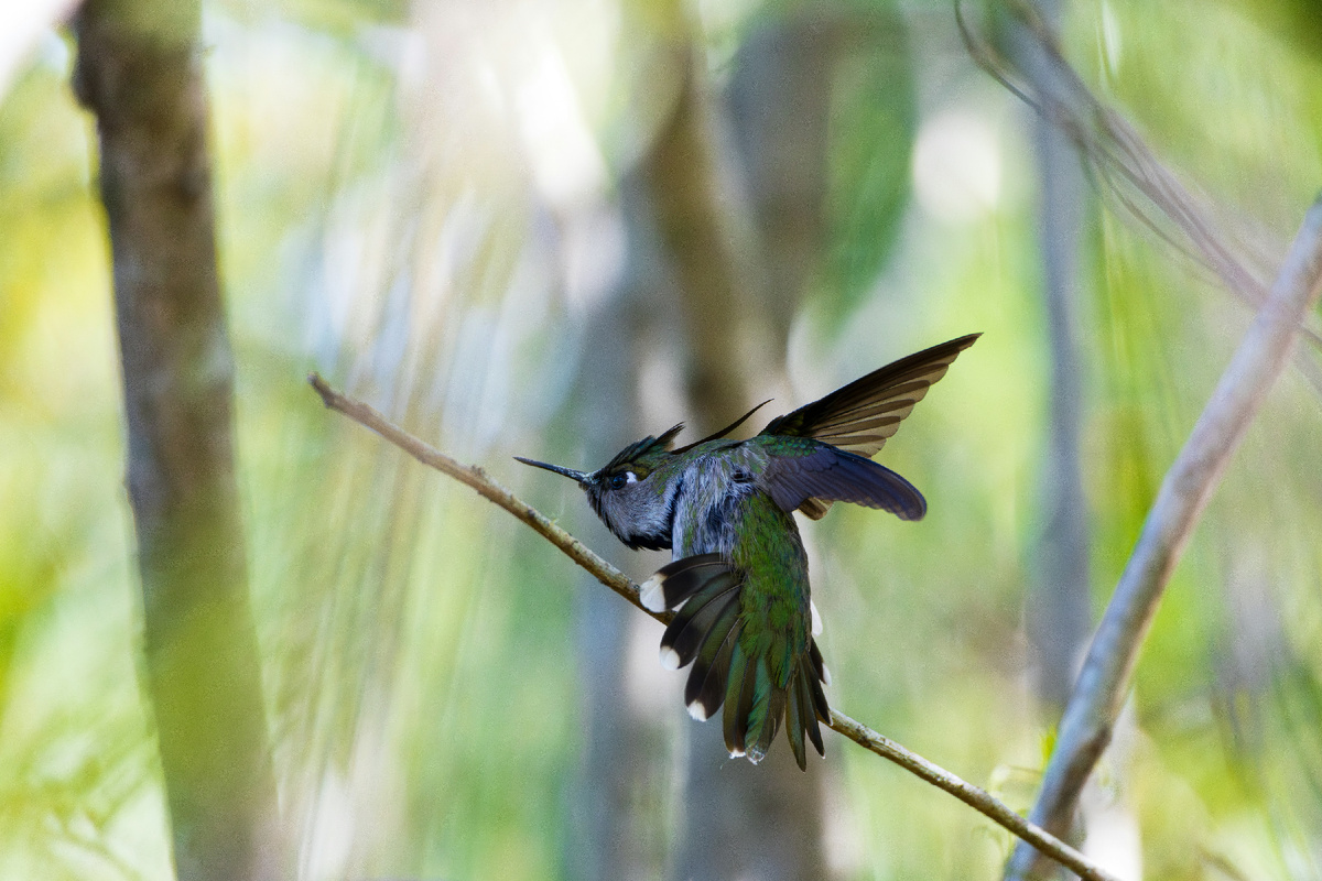 Картинка с бесплатного фотостока https://unsplash.com, автор Matheus Protzen