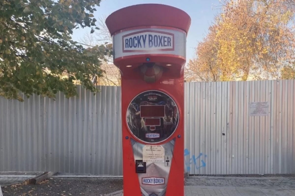    Тренер по боксу посоветовал не бить без тренировки по силомерам в Пензе