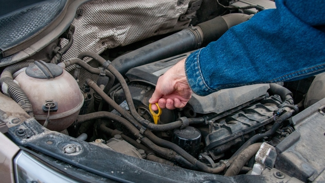    Фото: Svetlana Vozmilova/Globallookpress