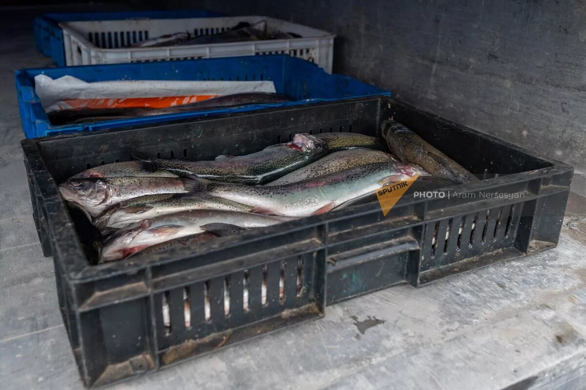 © Sputnik / Aram Nersesyan